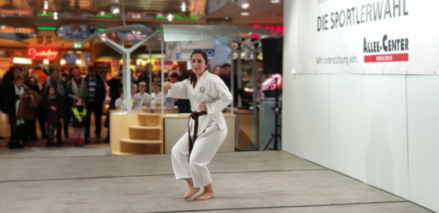 Karate. Foto: Sascha von Gerishem