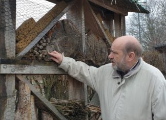 Jörg Liesendahl am Insektenhotel der Natur-Schule Grund. | Foto: Sascha von Gerishem