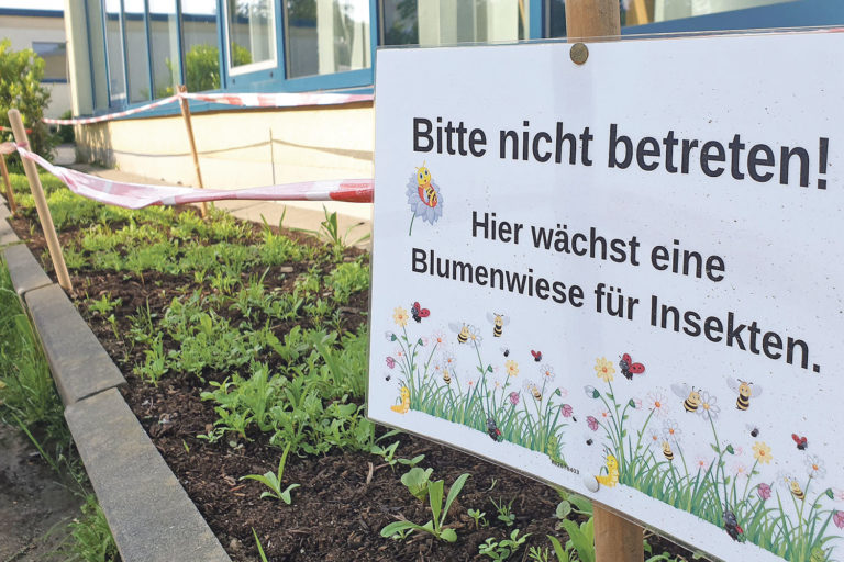 Aktive Kinder: Nahrung für Insekten