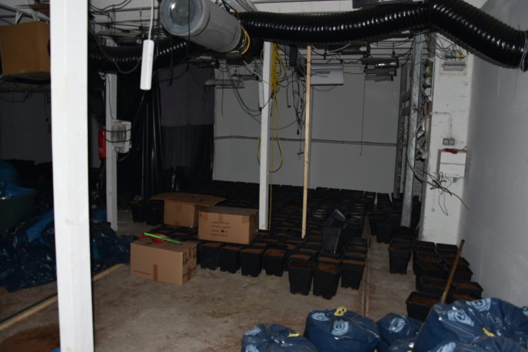 Wuppertal: Marihuanaplantage nach Rauchentwicklung entdeckt