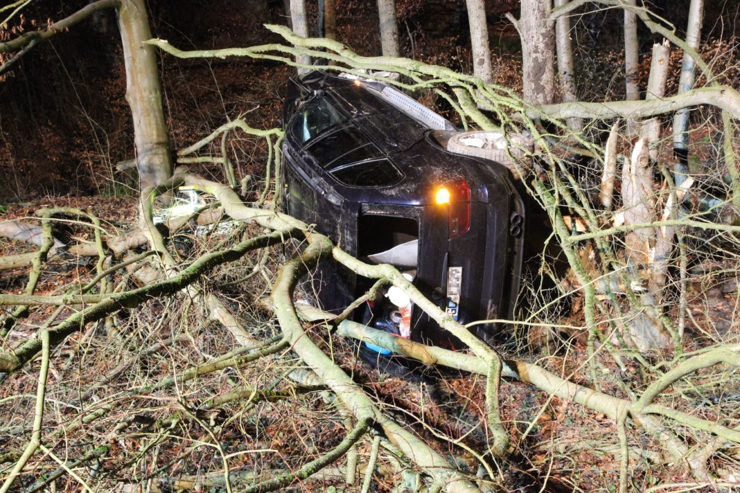 Ein Baum stoppte den BMW. Foto: Polizei