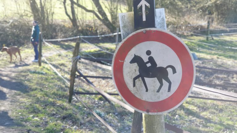 Herpes: Ein- und Ausreiseverbot für Pferde auf dem Buscherhof