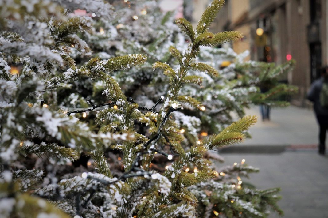 Die abgeschmückten Weihnachtsbäume gut sichtbar am Bürgersteig, nicht am Mülltonnenstandort, am jeweiligen Abholtag in Lennep, Lüttringhausen und Remscheid ablegen. Symbolfoto.