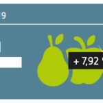 Umsatzentwicklung des Naturkostgroßhandels 2019. Grafik: obs/BNN, Grafik Zitrusblau