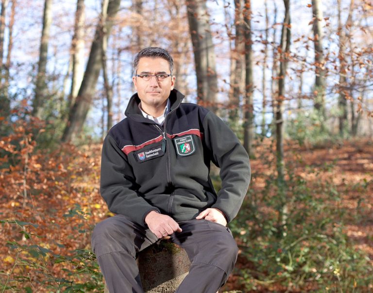 Wie wir dem Wald 2020 helfen können