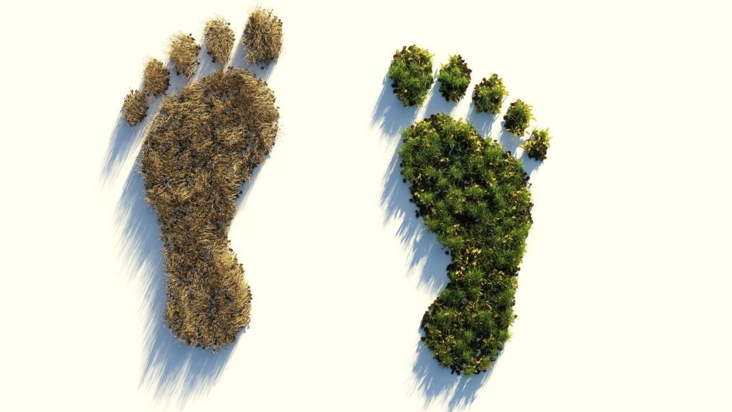 Ökologischer Fußabdruck. Symbolbild: Colin Behrens