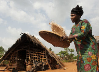 Kakaoproduzentin in der Elfenbeinküste bei der Arbeit. Foto: obs/TransFair e.V./Fairtrade | Eric St-Pierre