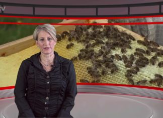 Nicole Dahmen führt durch "Die Woche", der neuen Nachrichtensendung aus Remscheid, produziert im Lüttringhauser TV-Studio. Screenshot: rs1.tv