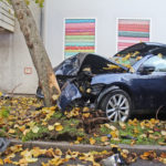 Ein Fahrzeug prallte gegen einen Baum – dieser musste anschließend von der Feuerwehr gefällt werden. Foto: Polizei Mettmann