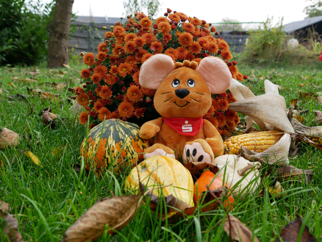 Wer innerhalb der Jugendsparwoche sein Konto füllt, darf sich ein Geschenk aussuchen, wie zum Beispiel die vorwitzige Feldmaus Freddy. Foto: Stadtsparkasse Remscheid