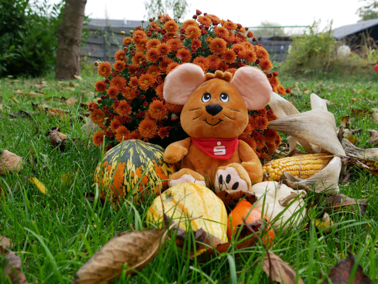 Jugendsparwochen verlängert: Fleißig sparen mit Feldmaus Freddy