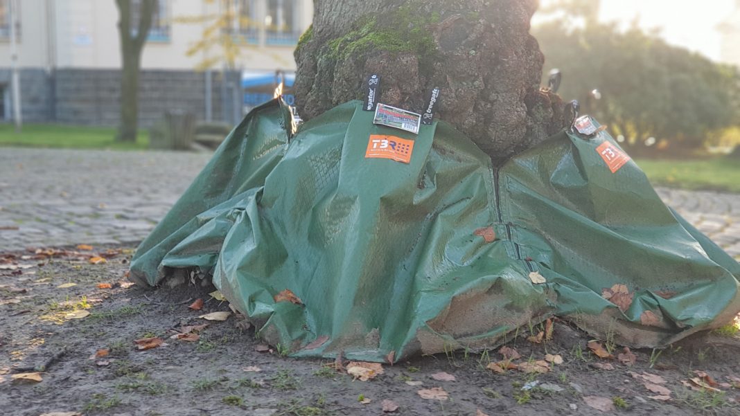 Die Bewässerungssäcke der Technischen Betriebe Remscheid bleiben auch im Winterhalbjahr. Foto: Sascha von Gerishem