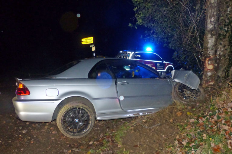 Ausweichmanöver endete an Baum