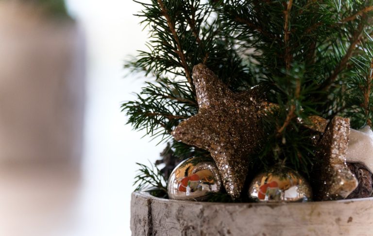 Weihnachten – ohne ökologischen Schaden anzurichten