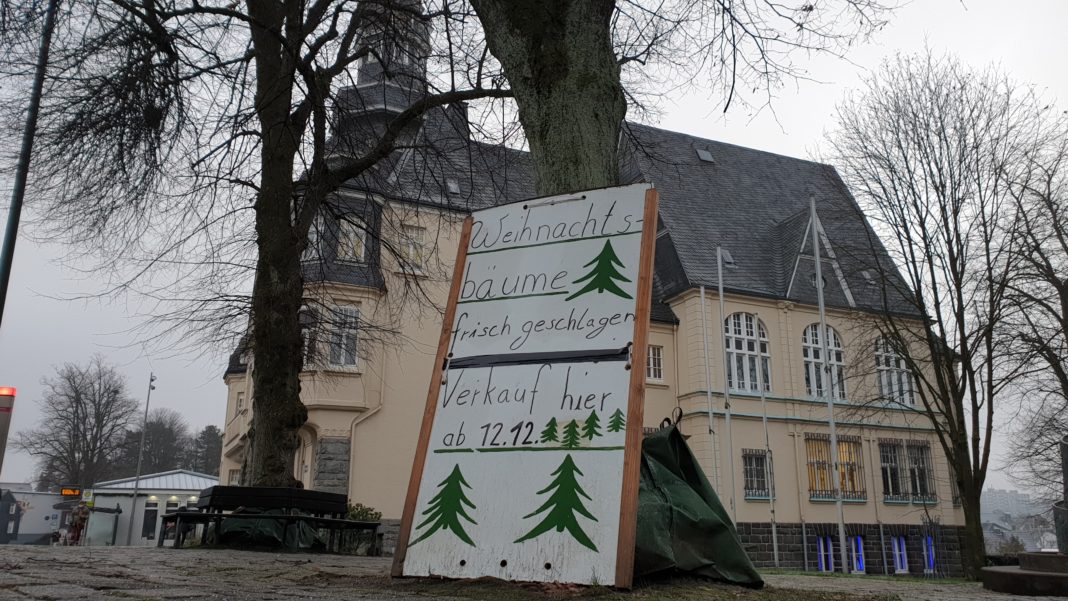 Die Weihnachtsbäume auf dem Platz neben dem Lütterkuser Rathaus wurden frisch gefällt - aber nicht misshandelt. Foto: Sascha von Gerishem