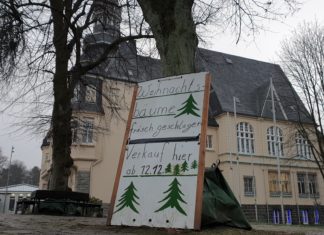 Die Weihnachtsbäume auf dem Platz neben dem Lütterkuser Rathaus wurden frisch gefällt - aber nicht misshandelt. Foto: Sascha von Gerishem