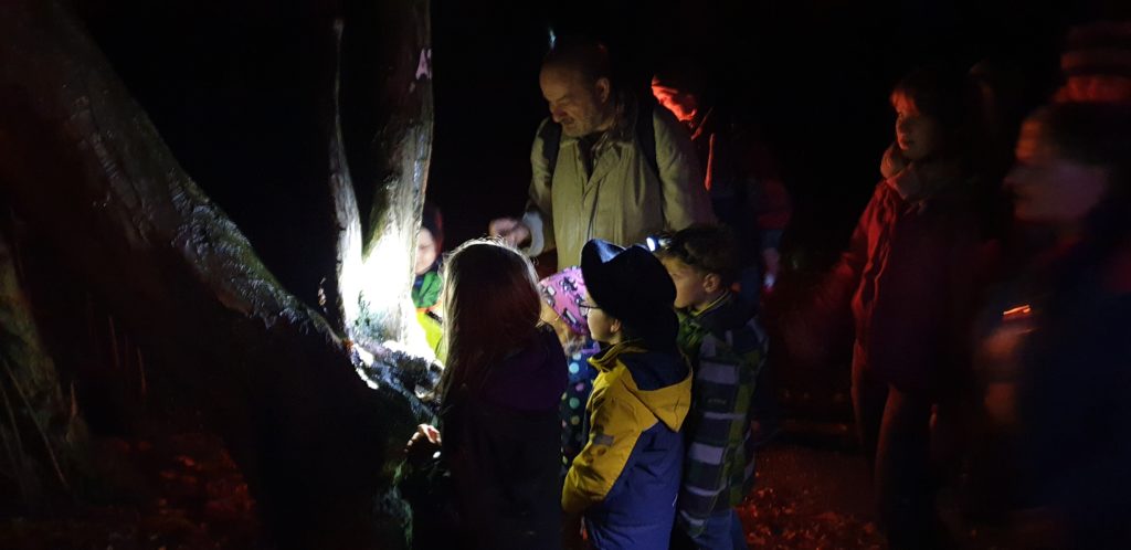 Fackelwanderung von der Natur-Schule Grund zu den Feuersalamandern in Remscheid. Foto: Sascha von Gerishem