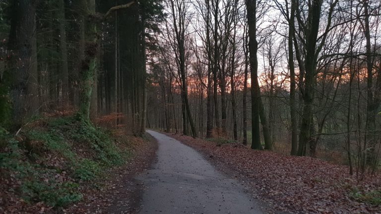 Pflegemaßnahmen für einen ökologisch hochwertigen und klimastabilen Wald