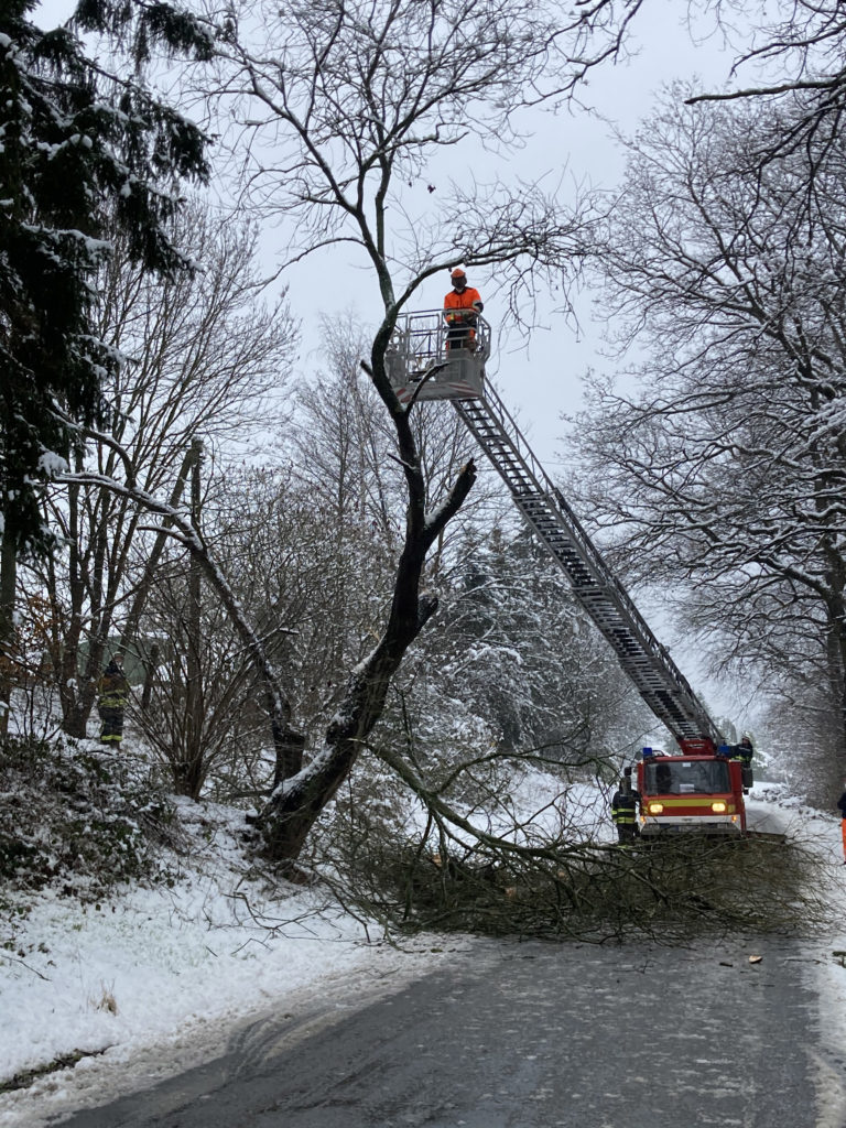 Eine Baumkrone wurde am Salzweg über die Drehleiter abgetragen. Bild: Jens Herkströter