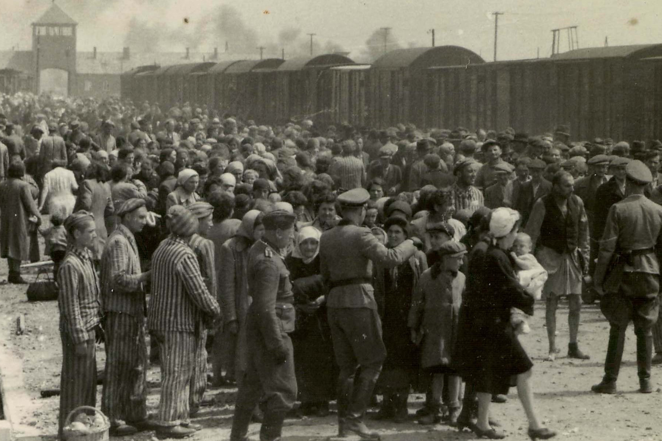 Jahrestag der Befreiung von Auschwitz im ZDF und in ZDFinfo ...