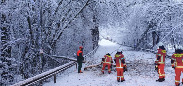 Schneebruch sorgt für Einsätze im gesamten Stadtgebiet