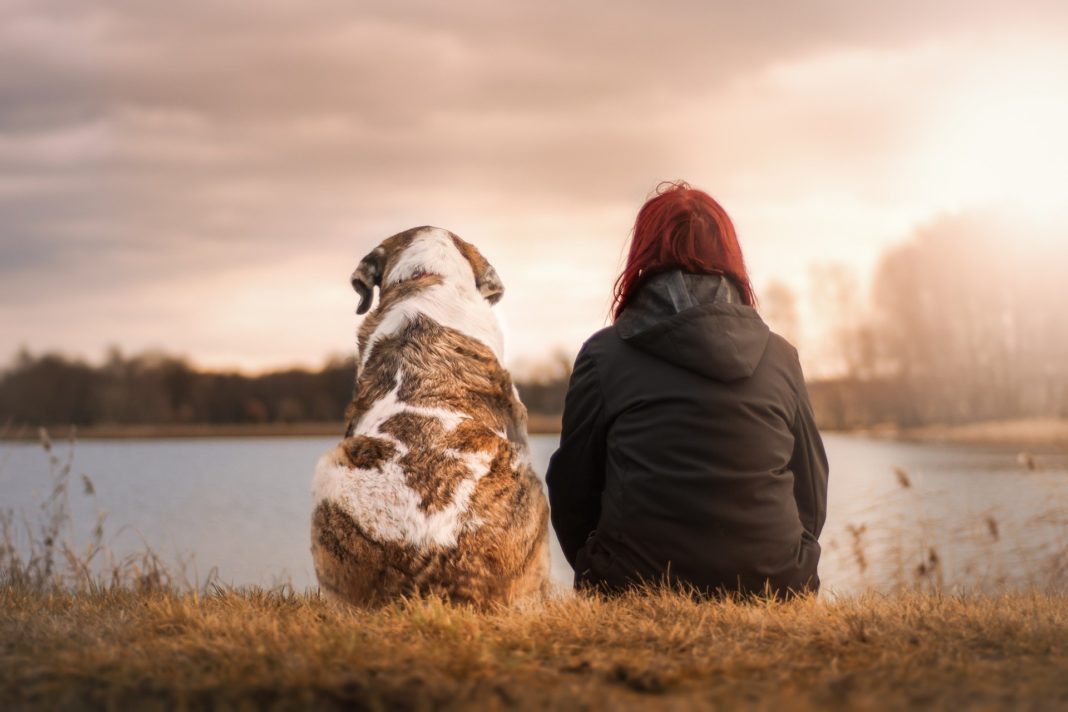 Hund: Der beste Freund des Menschen. Foto: Sven Lachmann