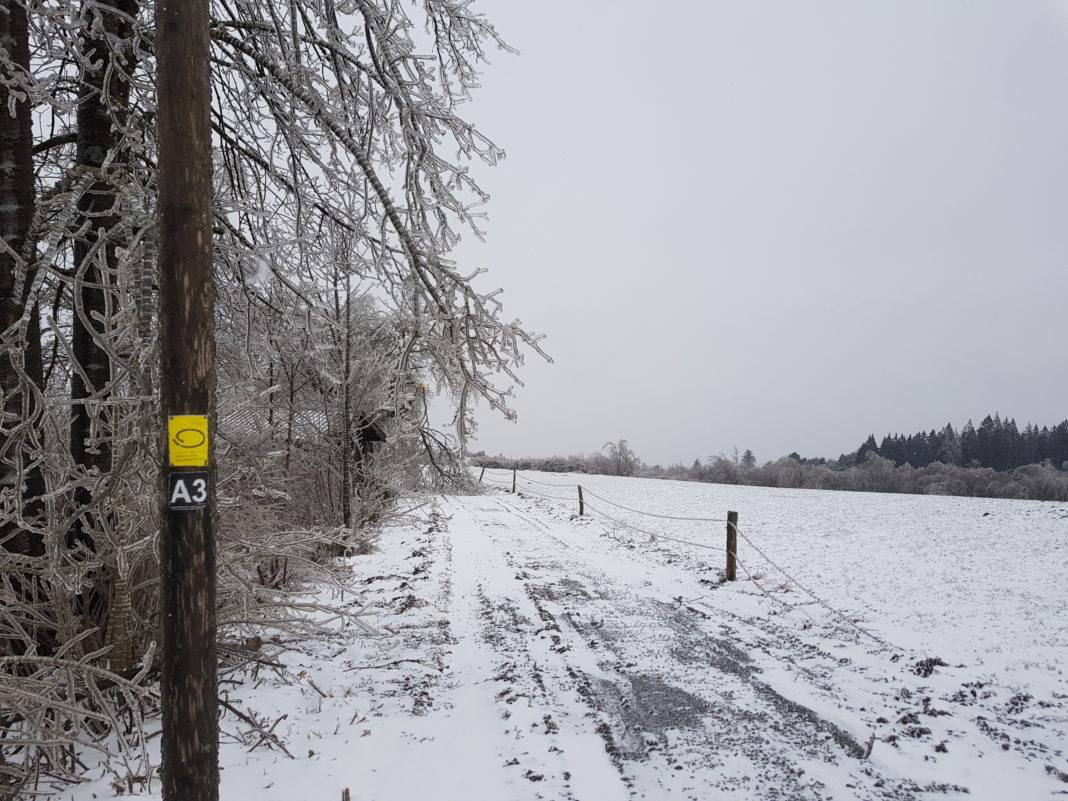 Das Betreten der Wälder geschieht auf eigene Gefahr. Foto: Wastl Roth-Seefrid / Naturpark Bergisches Land