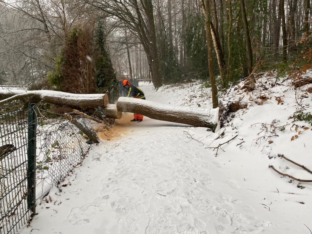 Wintereinbruch: Umgestürzter Baum. Bild: Löschzug Elfringhausen