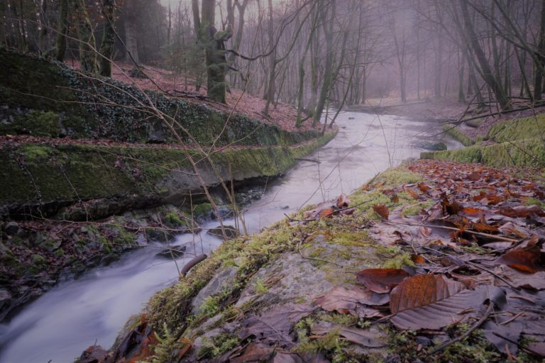 WanderBus und FahrradBus sollen auch 2021 durch das Bergische rollen