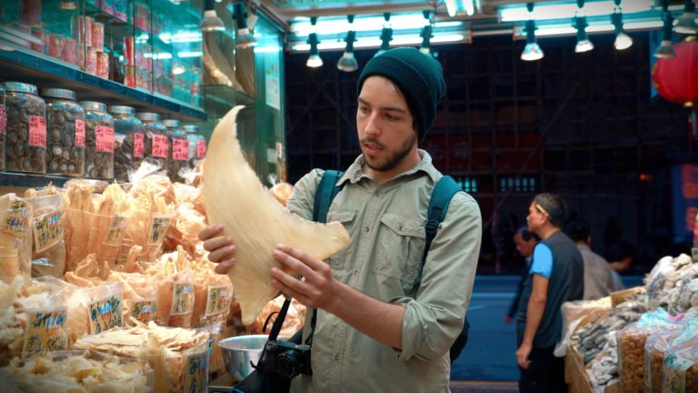 Seaspiracy – Lasst uns 30% unserer Ozeane bis 2030 vor industrieller Fischerei schützen!