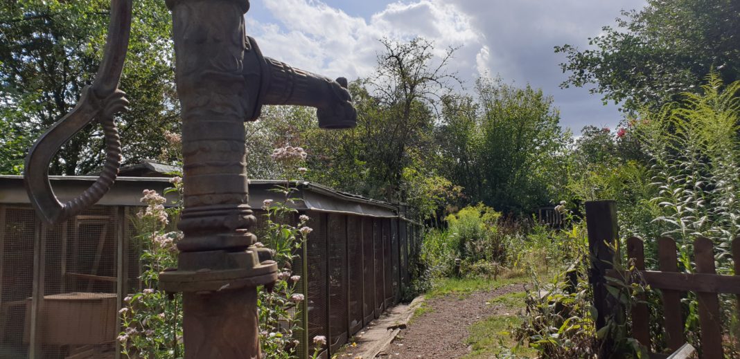 Hühnerstall und Kräutergarten in der Natur-Schule Grund. Foto: Sascha von Gerishem