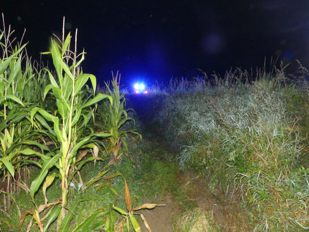 Ein Schwelmer landete bei Vogelshaus schwerverletzt in einem Maisfeld. Foto: Polizei OberBerg