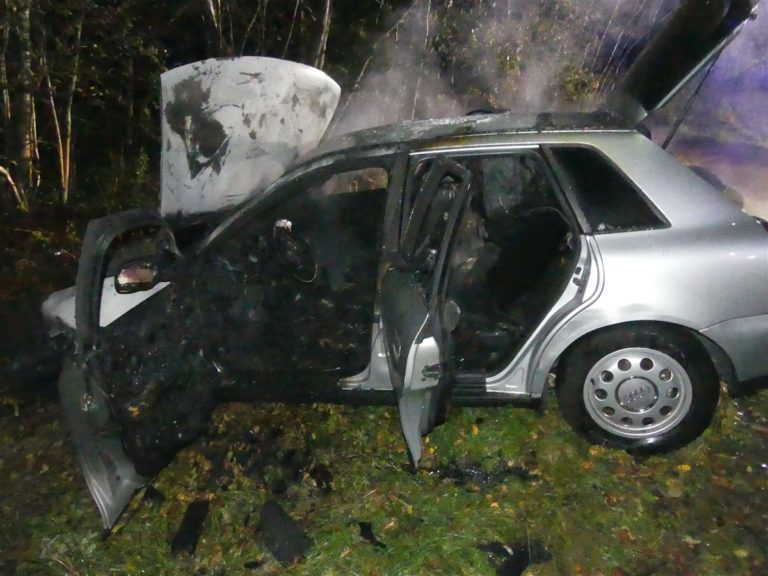 Kollision mit Baum – Auto fängt Feuer
