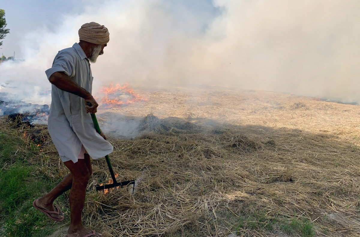 Ein Bauer in Punjab, Indien, brennt Erntereste ab. Diese Praxis ist die Ursache massiver Luftverschmutzung. © Radio Bremen - Sonam Rinzin