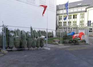 Der Weihnachtsbaumverkauf der SPD Stadtmitte-Hasten findet wieder an der Elberfelder Straße in Remscheid statt. Foto: SPD Remscheid