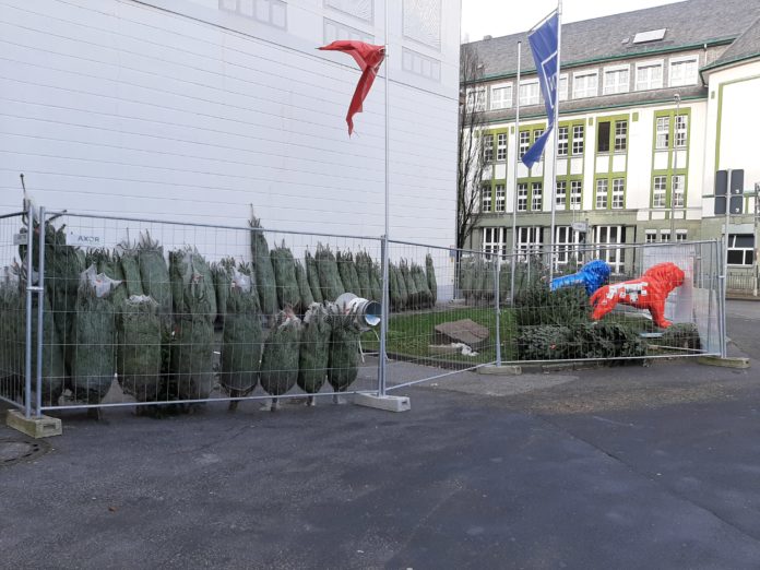 Der Weihnachtsbaumverkauf der SPD Stadtmitte-Hasten findet wieder an der Elberfelder Straße in Remscheid statt. Foto: SPD Remscheid