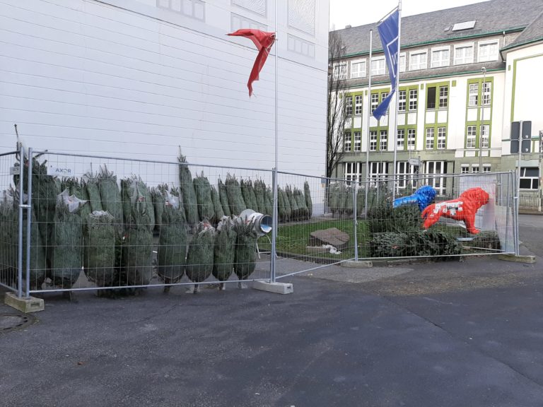 Weihnachtsbäume für den guten Zweck