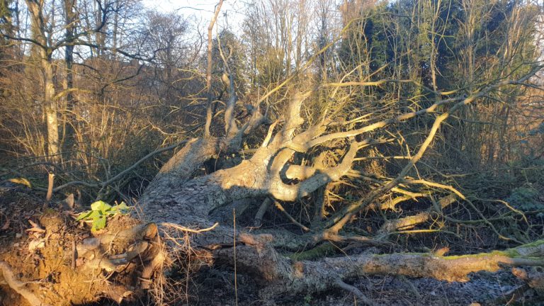 Leserbrief zum Leipziger Gerichtsurteil gegen den Bebauungsplan des Remscheider DOC