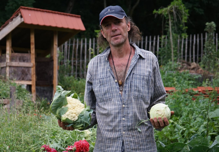 Schönheit im Garten