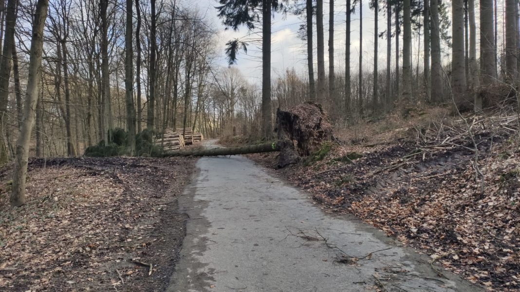 Im Schmittenbusch in Lüttringhausen kippte ein Baum quer über den Weg. Foto: Nicole Dahmen