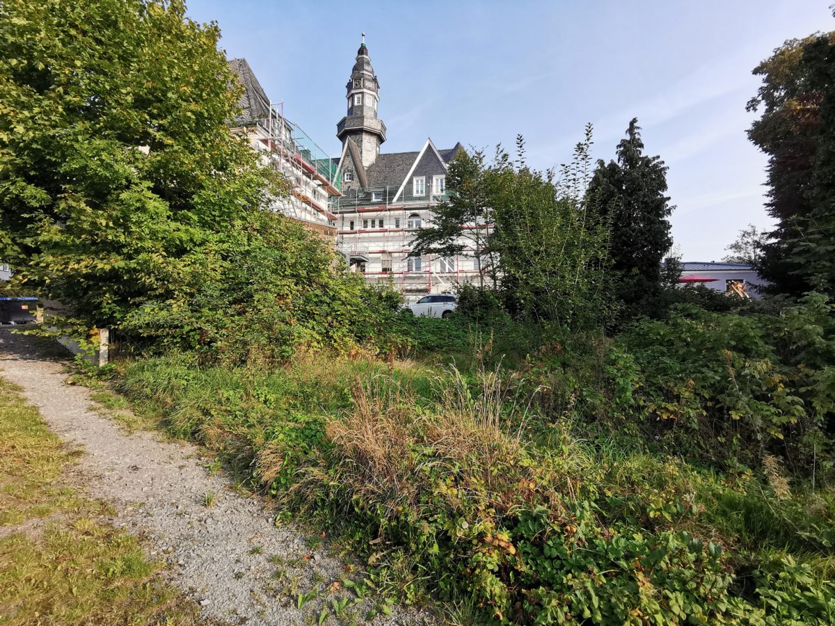 So verwildert sah es hinter dem Rathaus Lüttringhausen früher aus. Foto: Maar