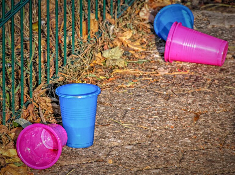 Abgabe auf Einwegplastik: Hersteller*innen zahlen für Plastikmüll