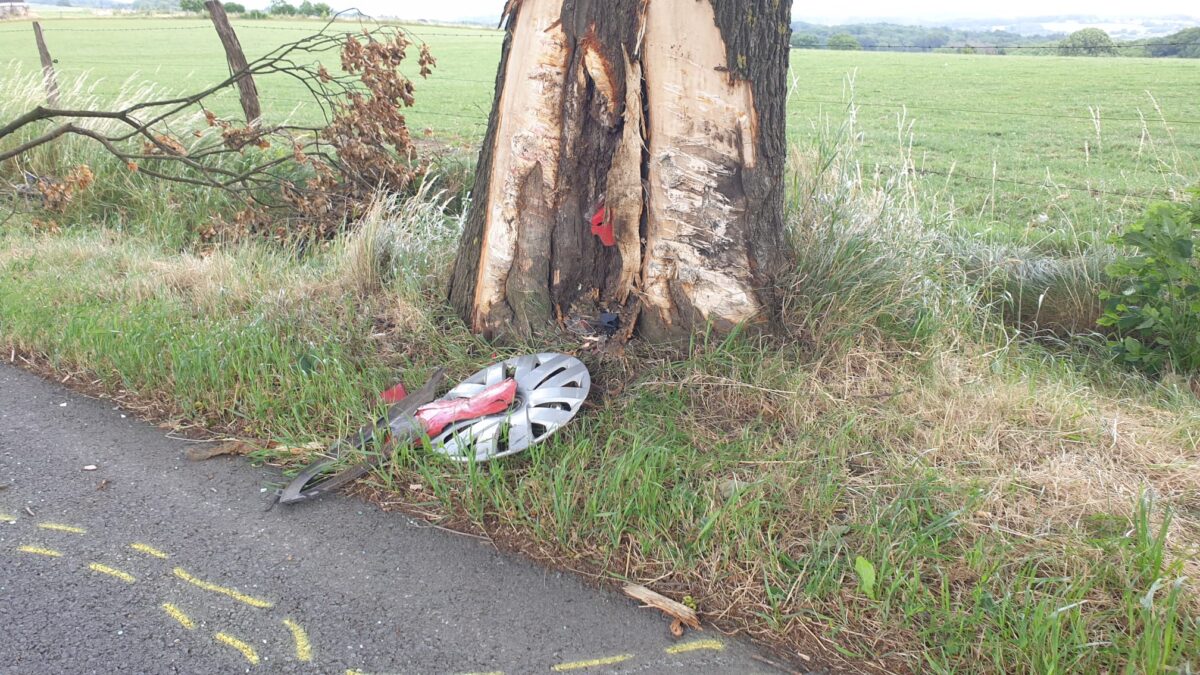 Der 86-Fahrzeugführer touchierte aus noch ungeklärter Ursache zunächst diesen Baum, bevor das Unglück seinen Lauf nahm. Foto: rs1.tv