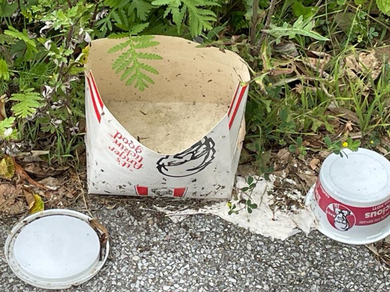 Prüfantrag: Kommunale Steuer auf Einwegverpackungen 