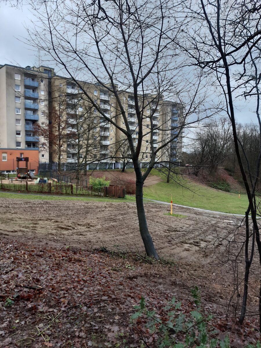 Renaturierungsprojekt der GEWAG in der Stettiner Straße in Remscheid. Foto: GEWAG